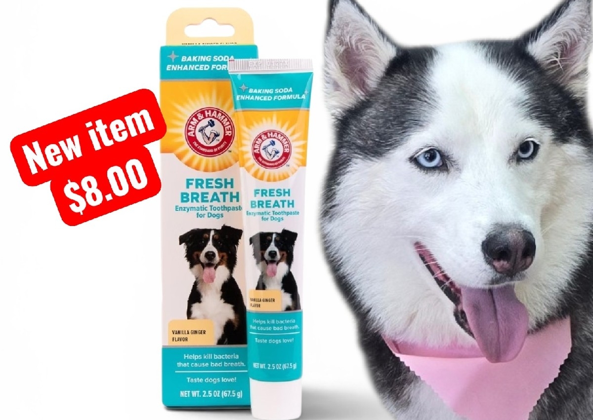 Fresh Breath