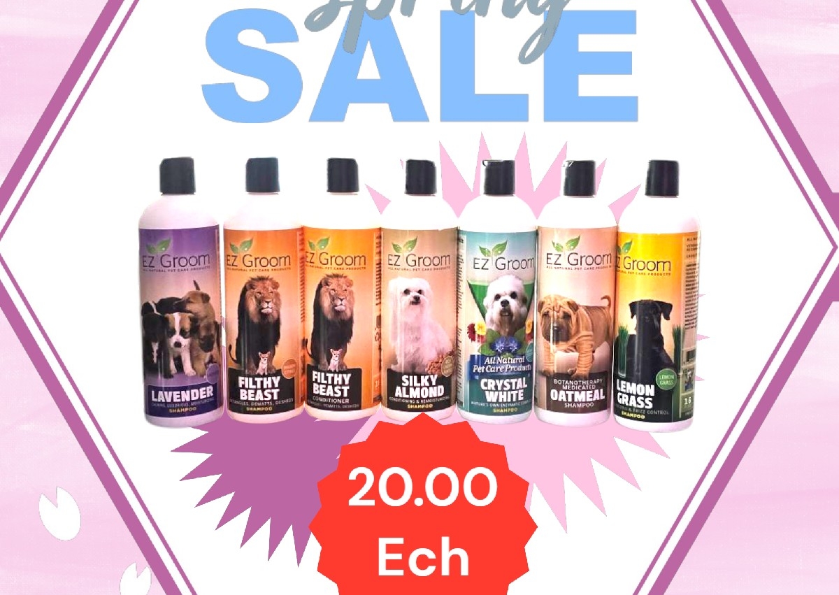 LIMITED OFFER Shampoo/Conditioner