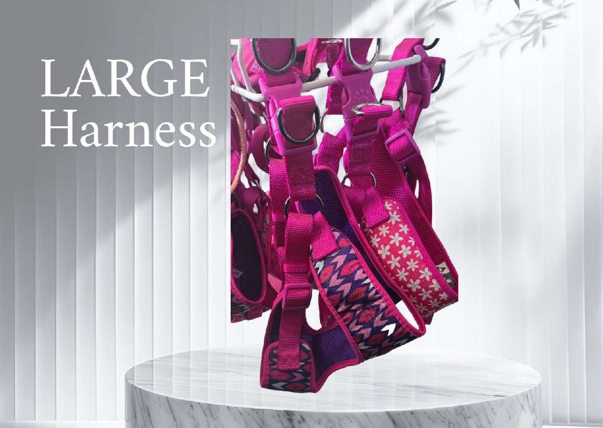 Large pink harness
