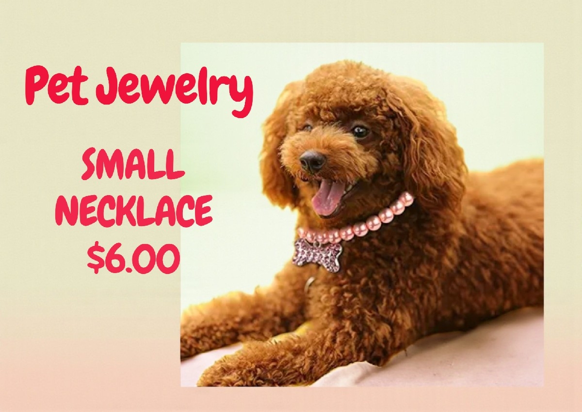 Pet Necklace