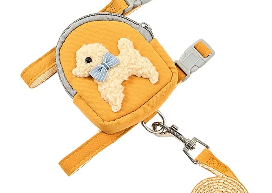 Small dog harness and leash