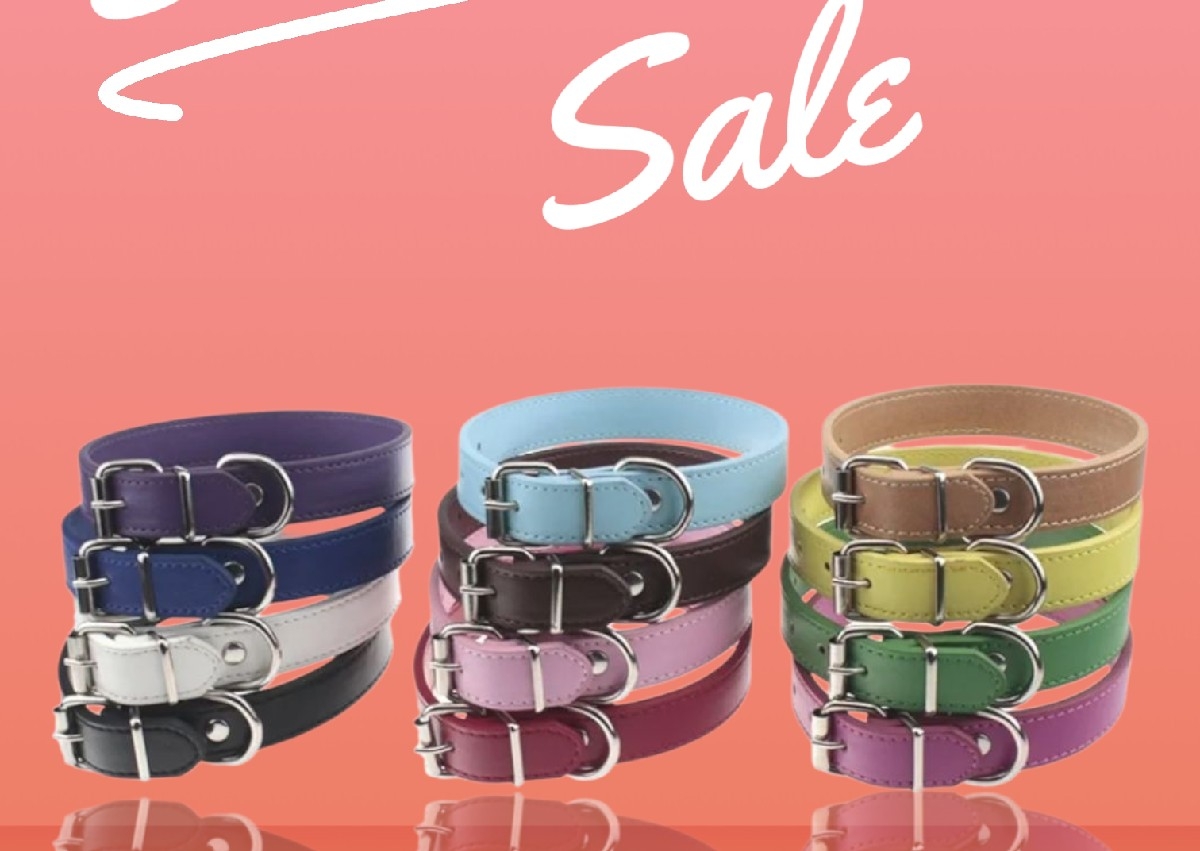 Med. Dog Leather collar