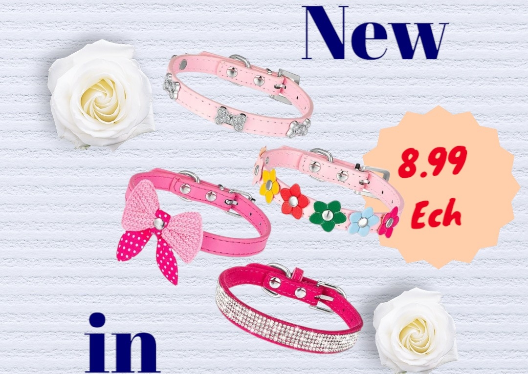 Leather bling collar