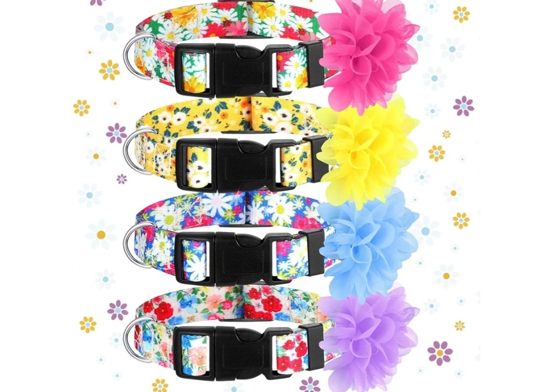 Med. Flower dog collars