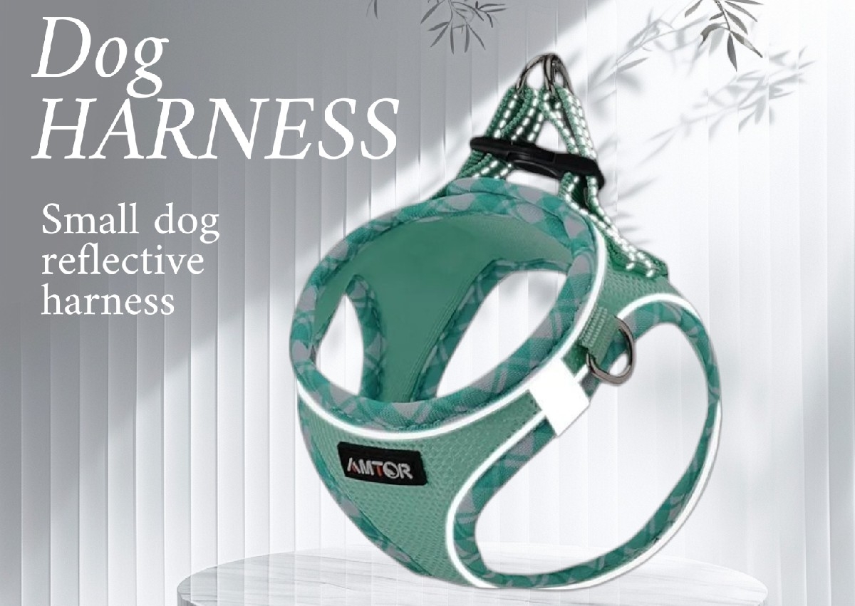 Small dog harness