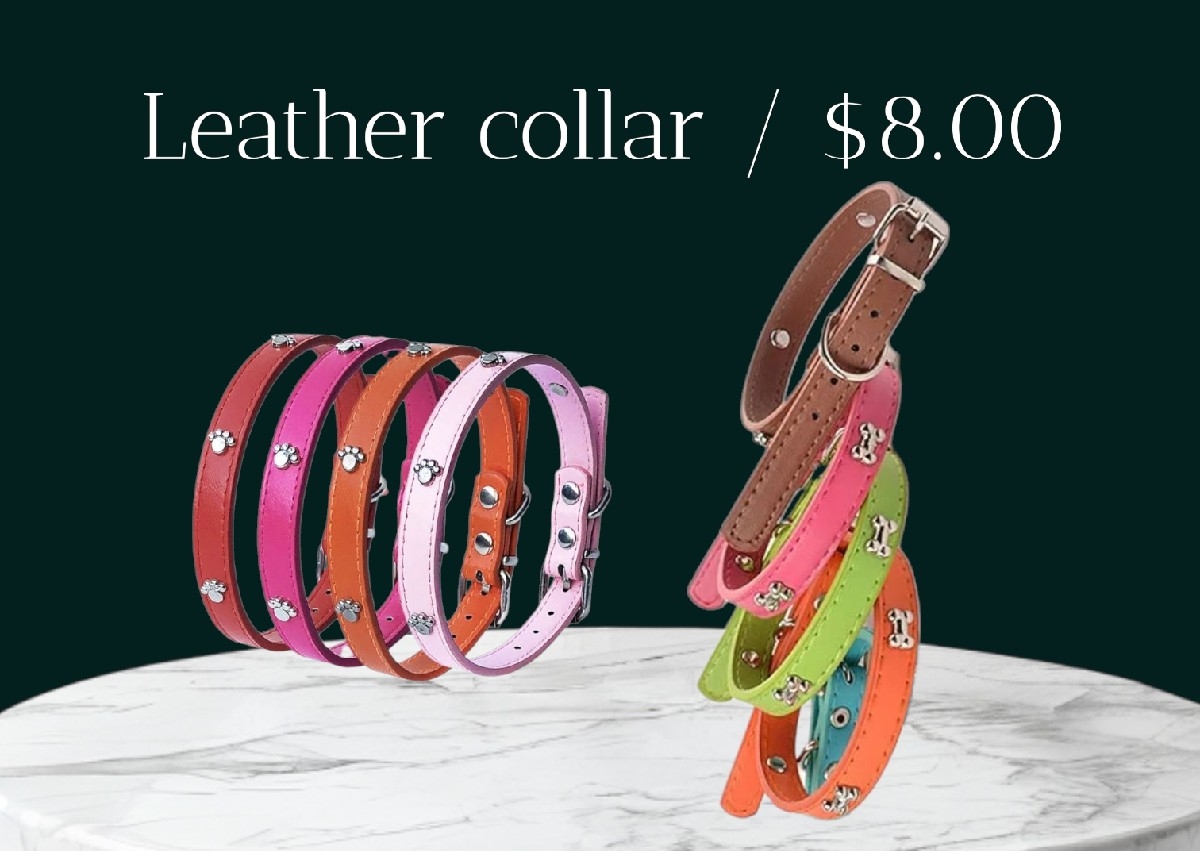 Leather collars small