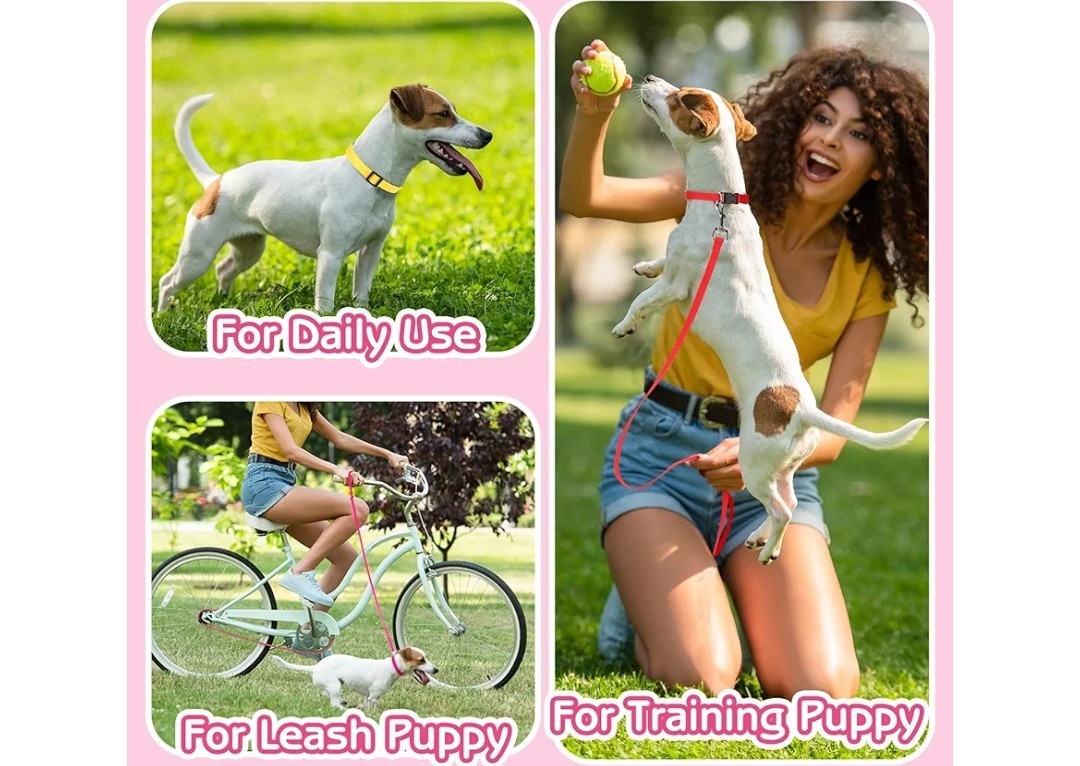 Small dog collar and leash set