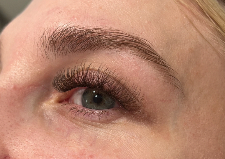 Brown Volume lashes 