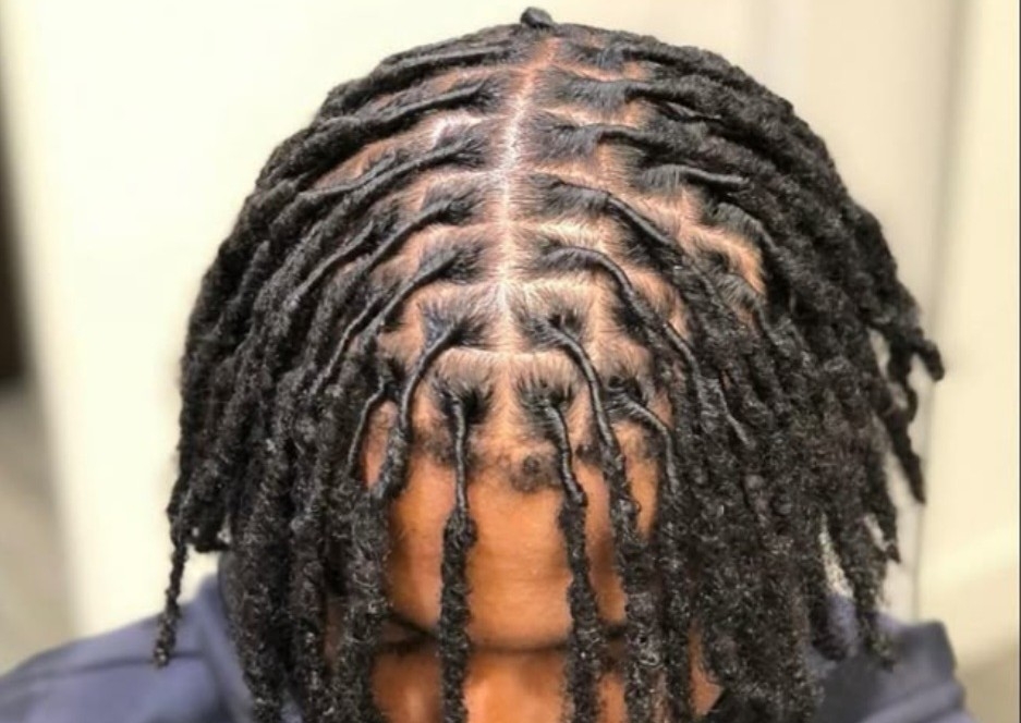 Starter Locs - Small