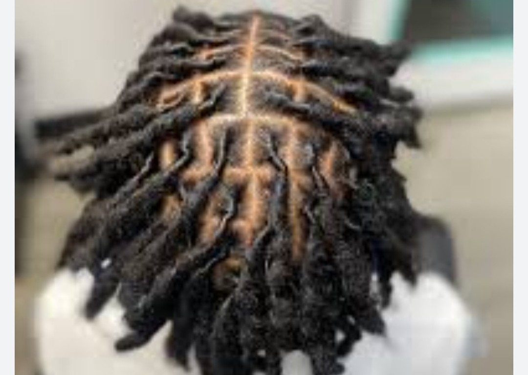 Starter Locs - Medium 
