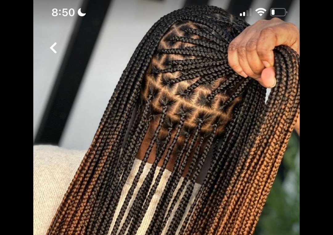 Medium Knotless Braids - WaistLength 