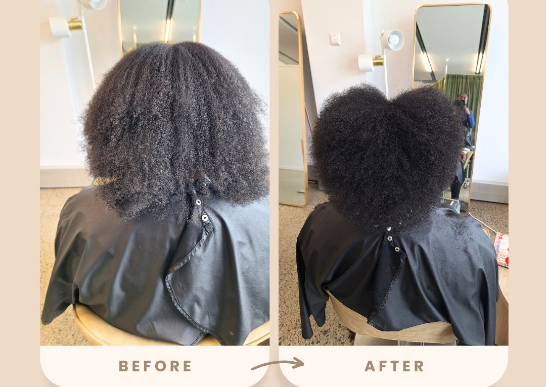  Hair Reset/Cut to Shape (1/3)