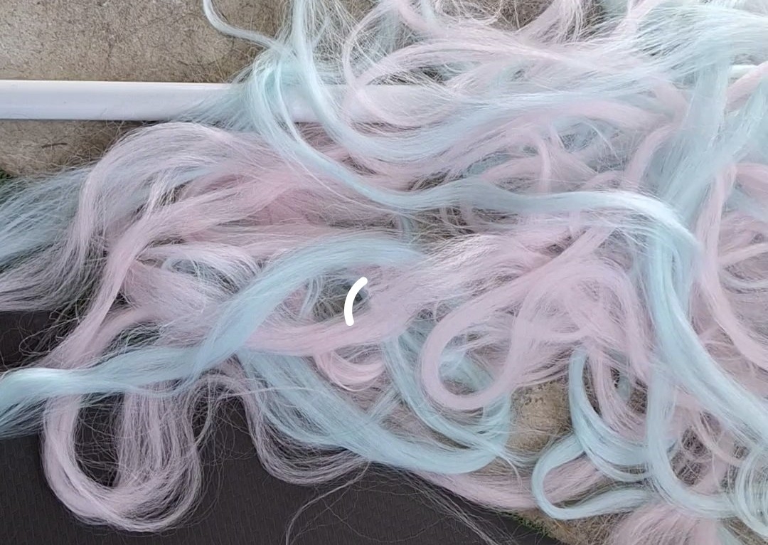 Braids Removal & Reset