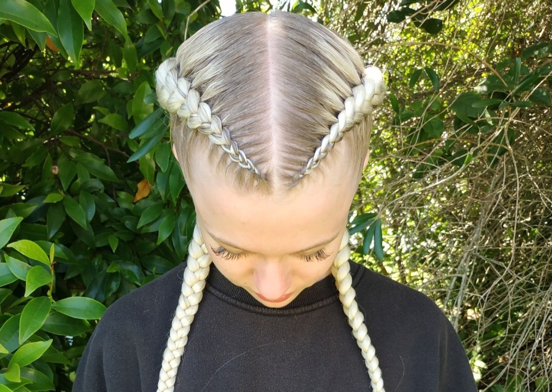 Dutch Braids (read description)