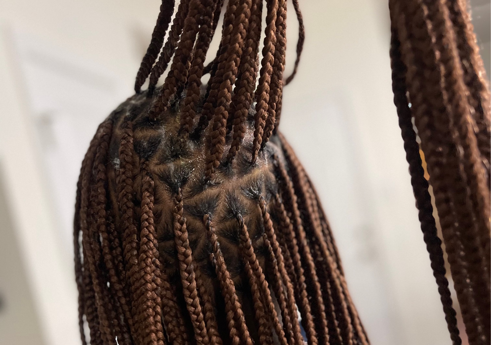 Small Knotless Braids