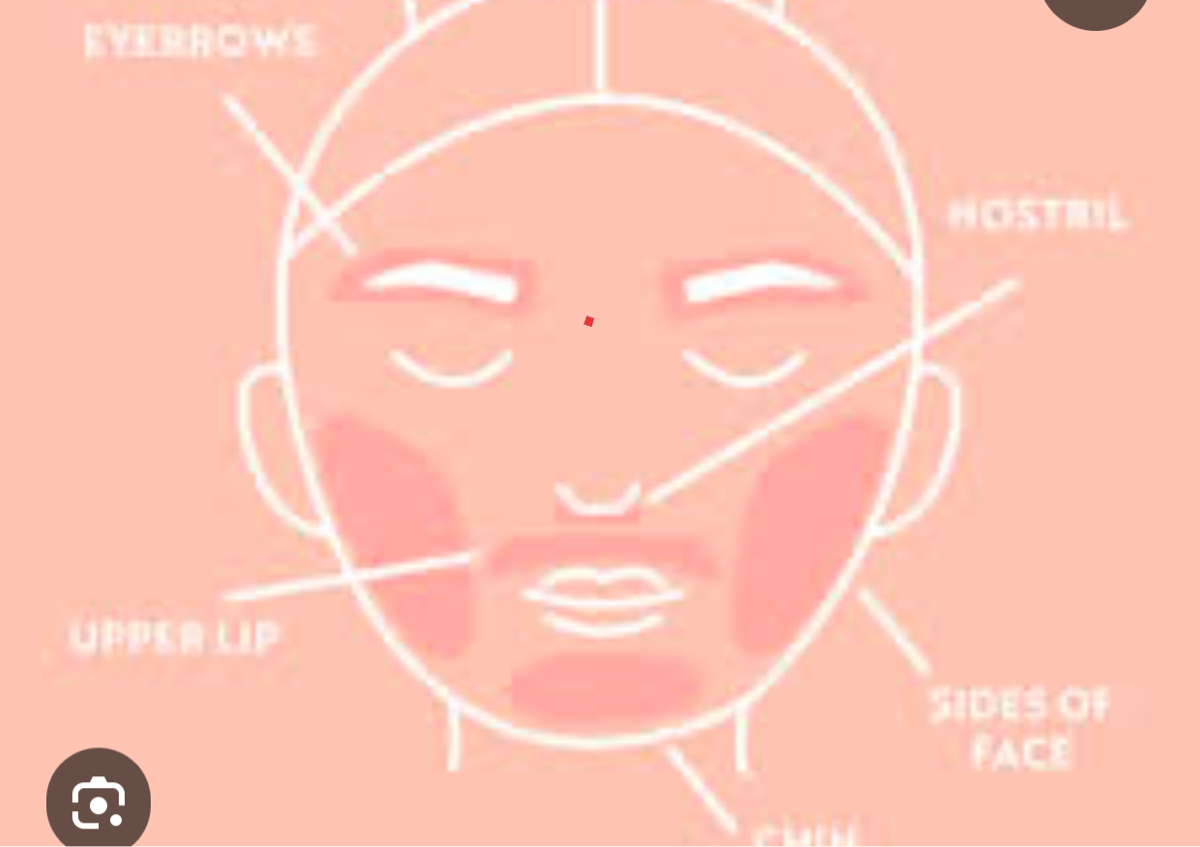 Lip, eyebrows,chin,nose
