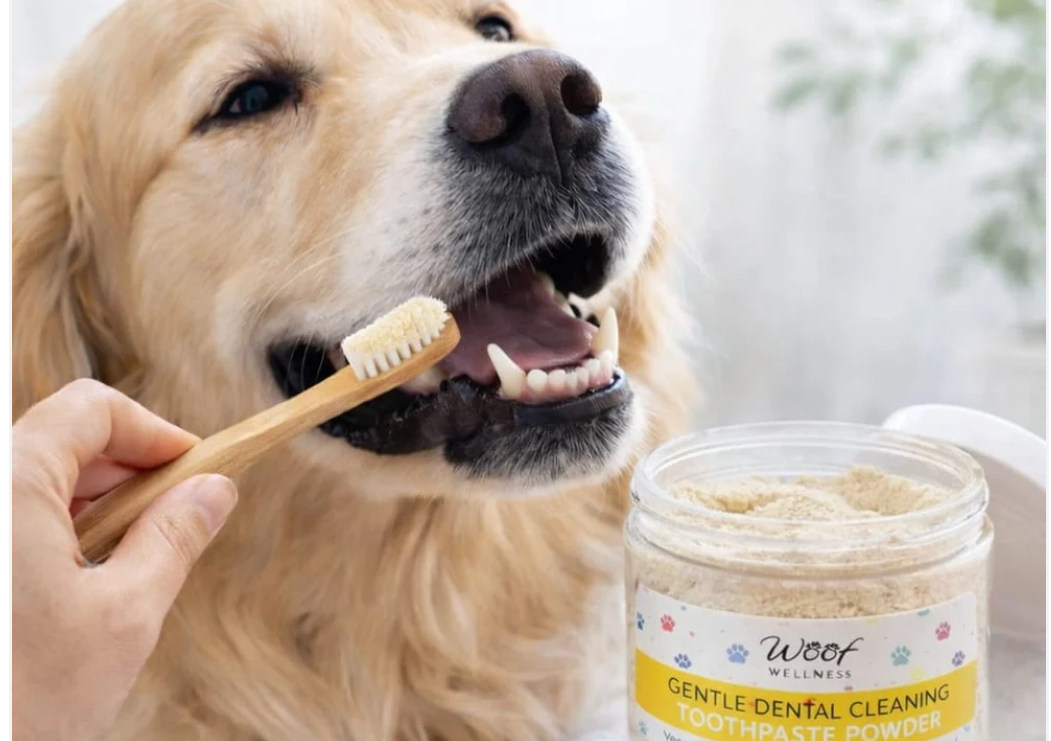 Teeth cleaning 