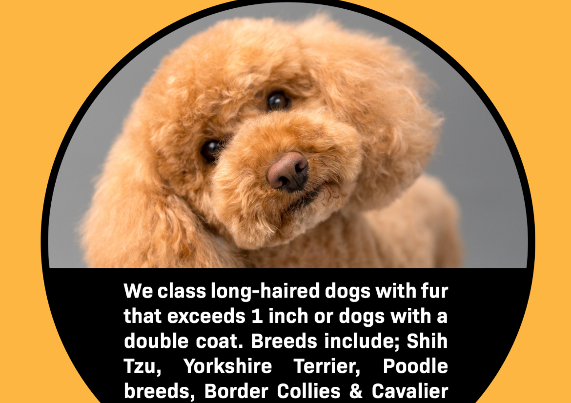 Extra small dog -Full Groom - Long Hair