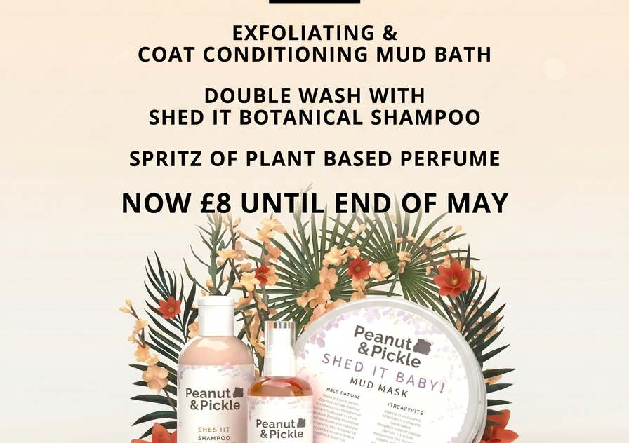 Mud bath spa 