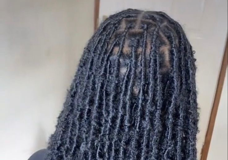 Soft Locs over Locs (hair included)