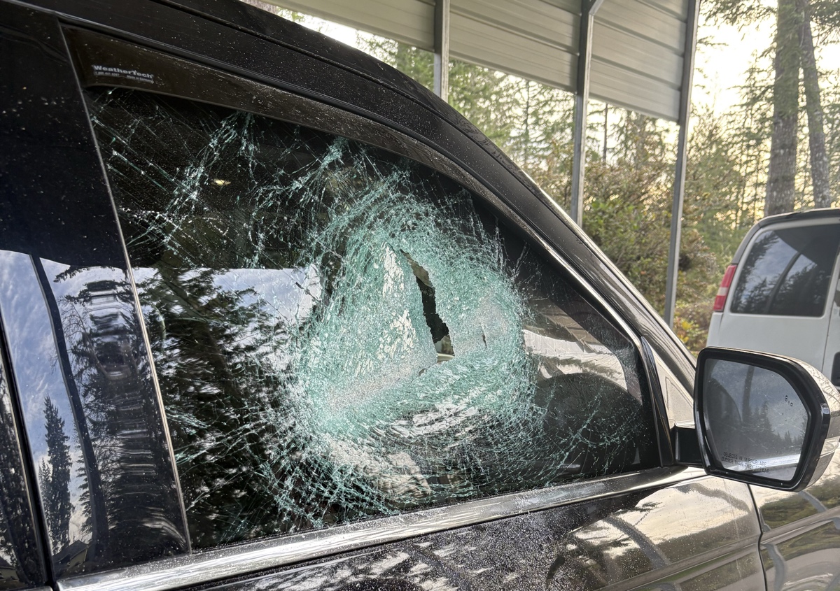 Door glass replacement 