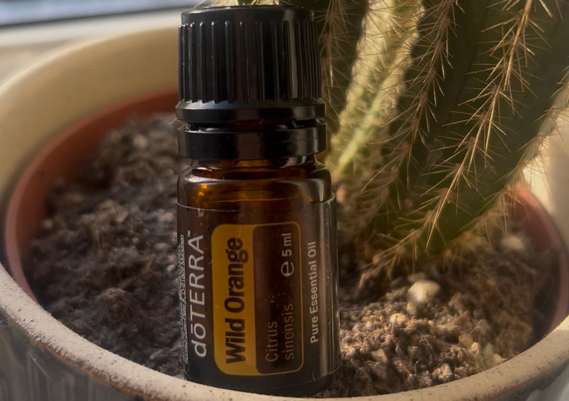 Dottera essential
Oils