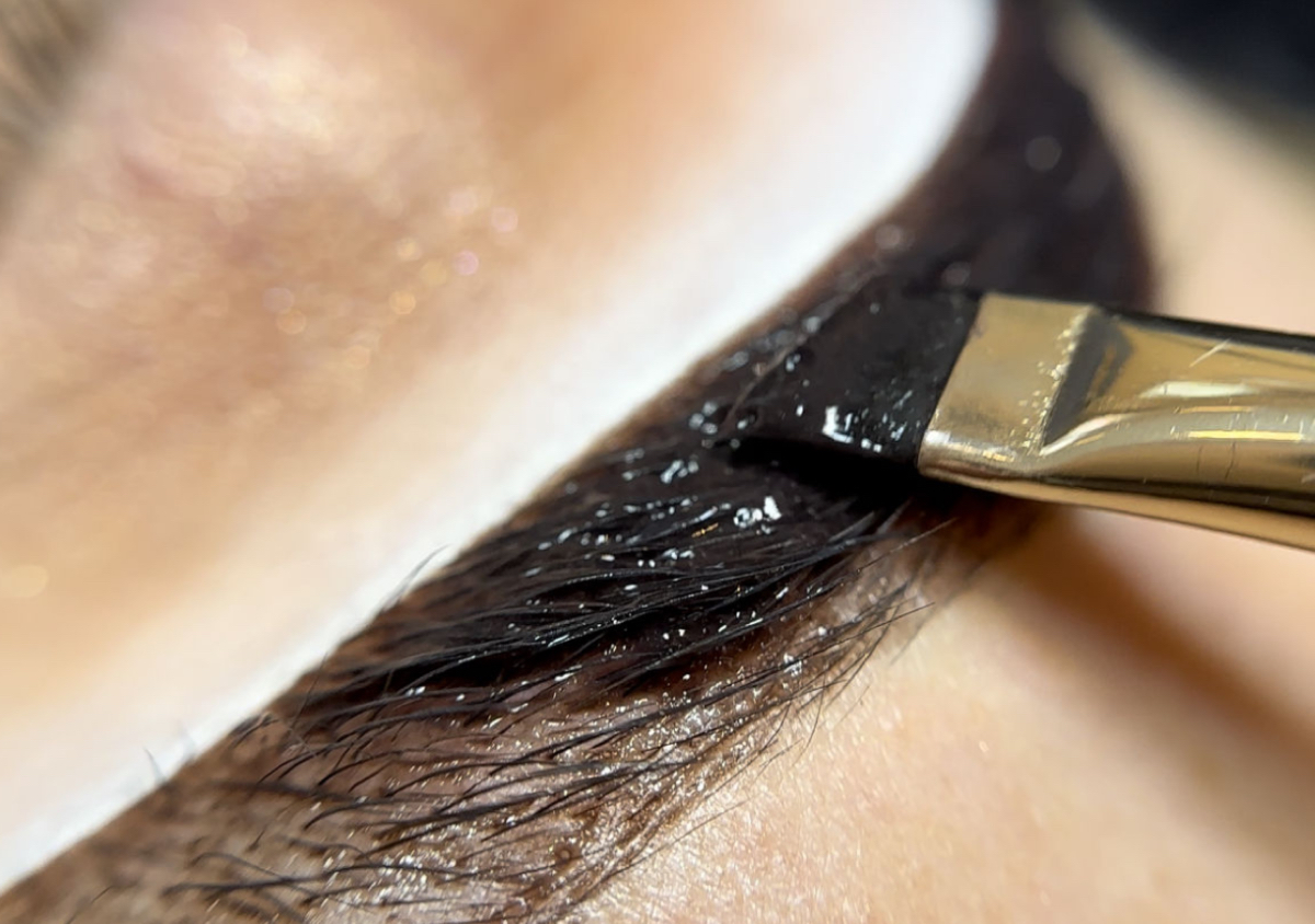 Hybrid Brows (Sculpt & Hybrid dye)