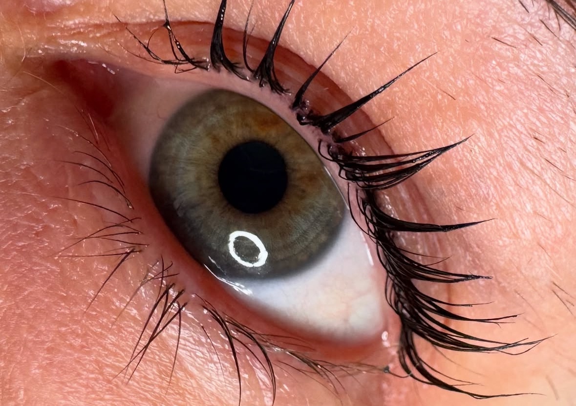LVL Lash Lift ( New Client)