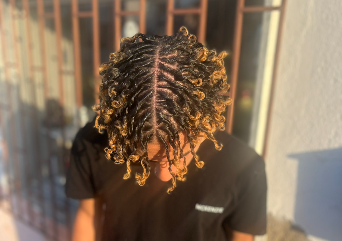 Starter Locs