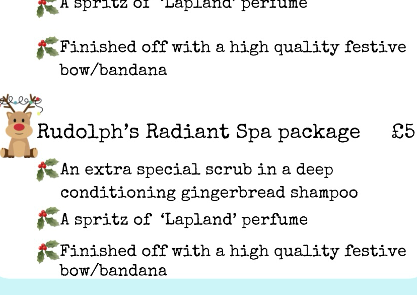 Rudolph’s radiant spa package