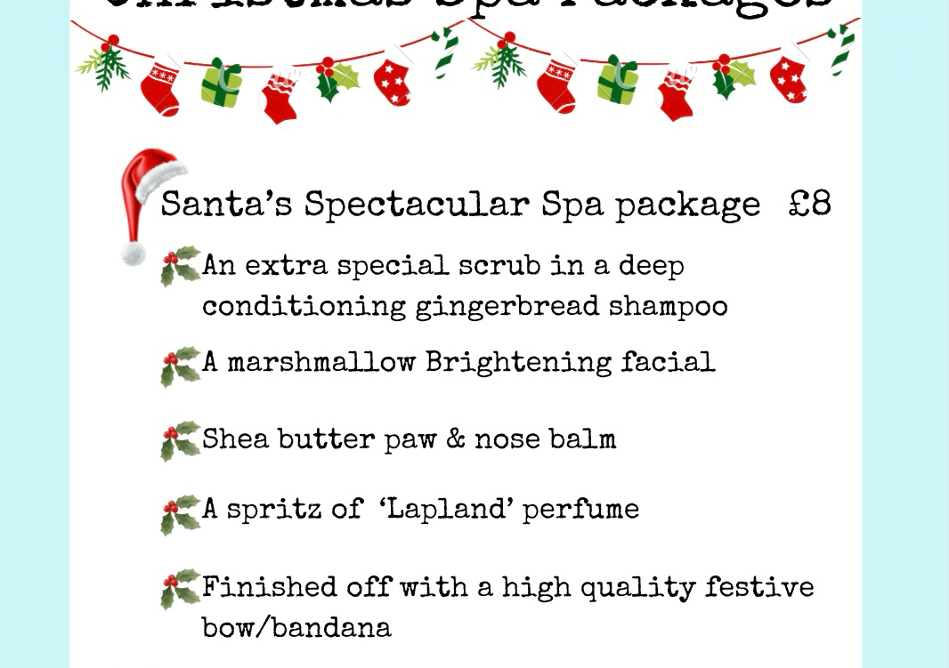 Santa’s spectacular spa package 