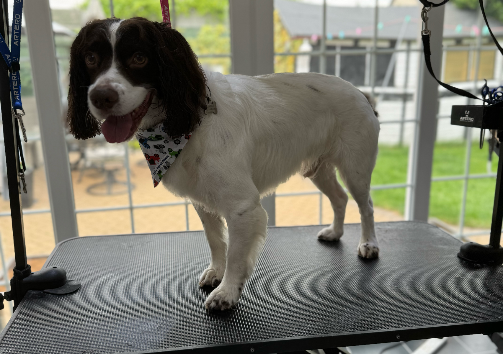 Bath Tidy Med - (eg. spaniel)