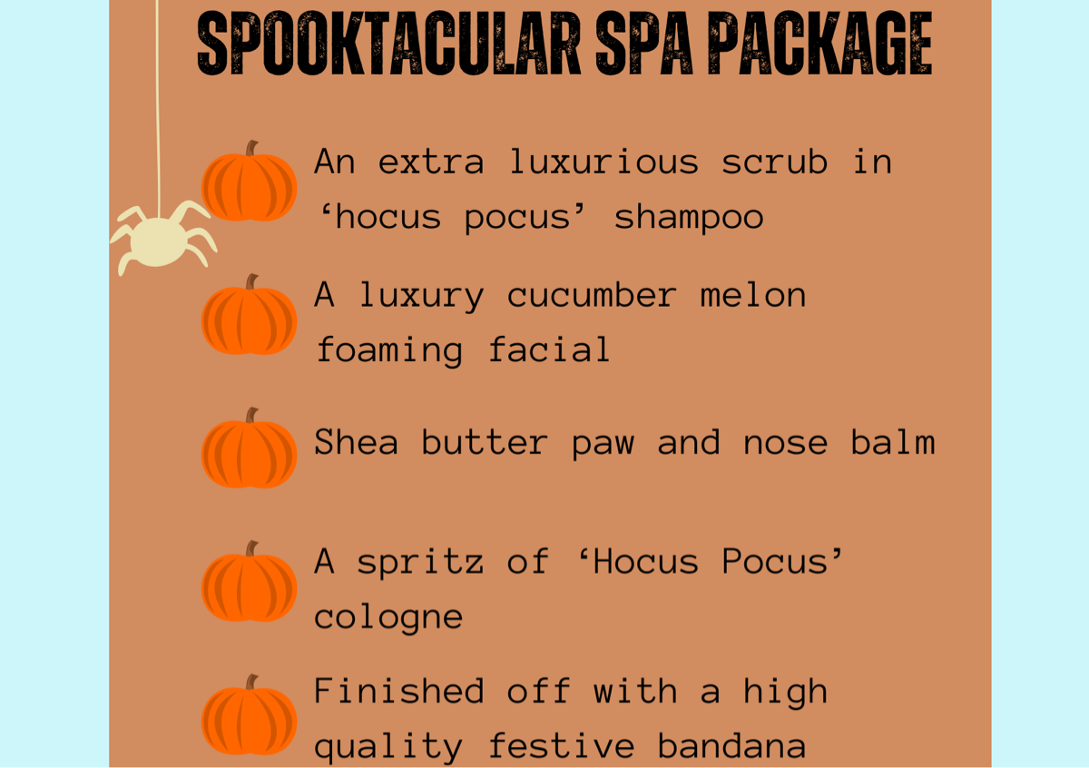 Spooktacular spa package 