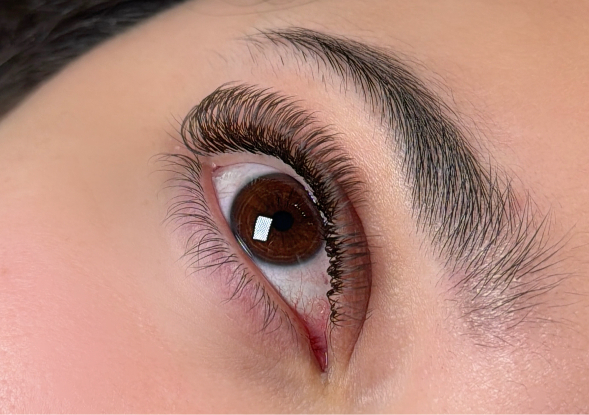 DARK BROWN 2D VOLUME 🍂🤎