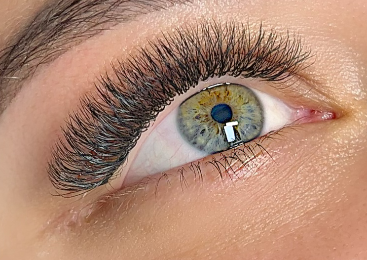 Egiptyan Volume / Volumen Egipcio