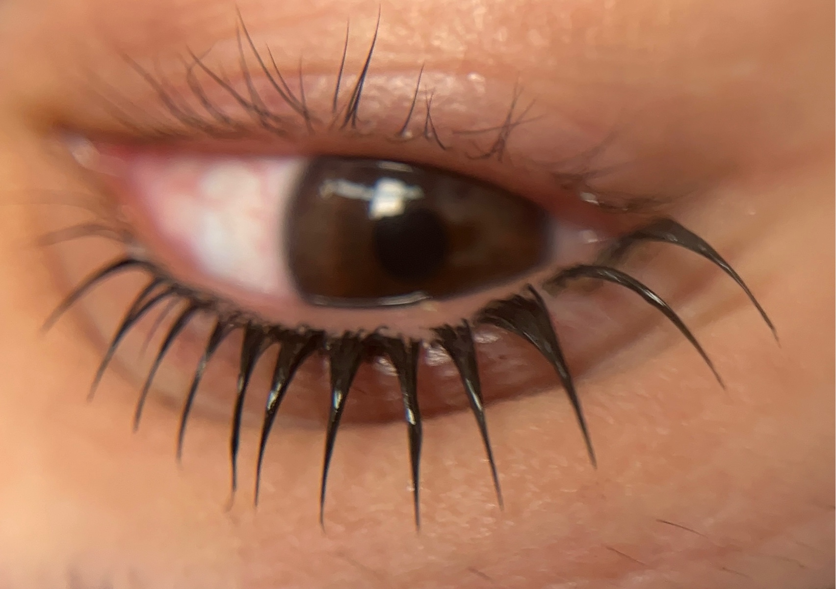 Korean Lash Lifting 🫰🏻