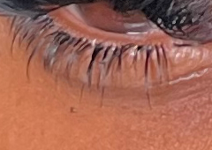 Bottom Lashes