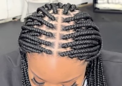 Medium box braids  mid back 