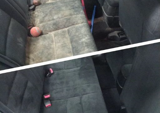 PET HAIR REMOVAL (add on)