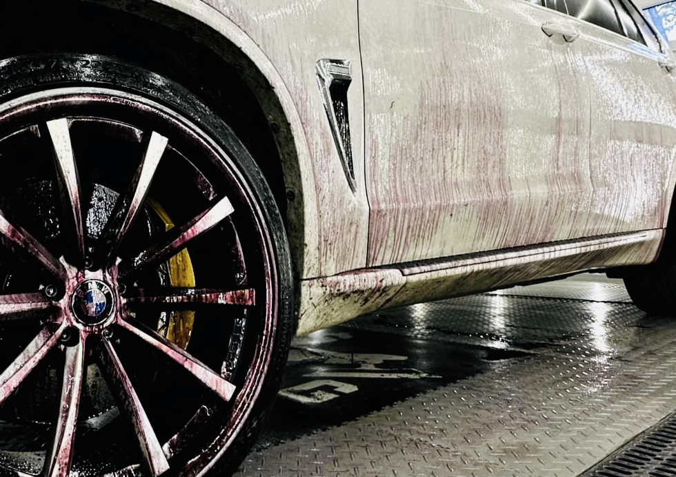 CLAY & DEIRONIZE PAINT AND RIMS (add on)