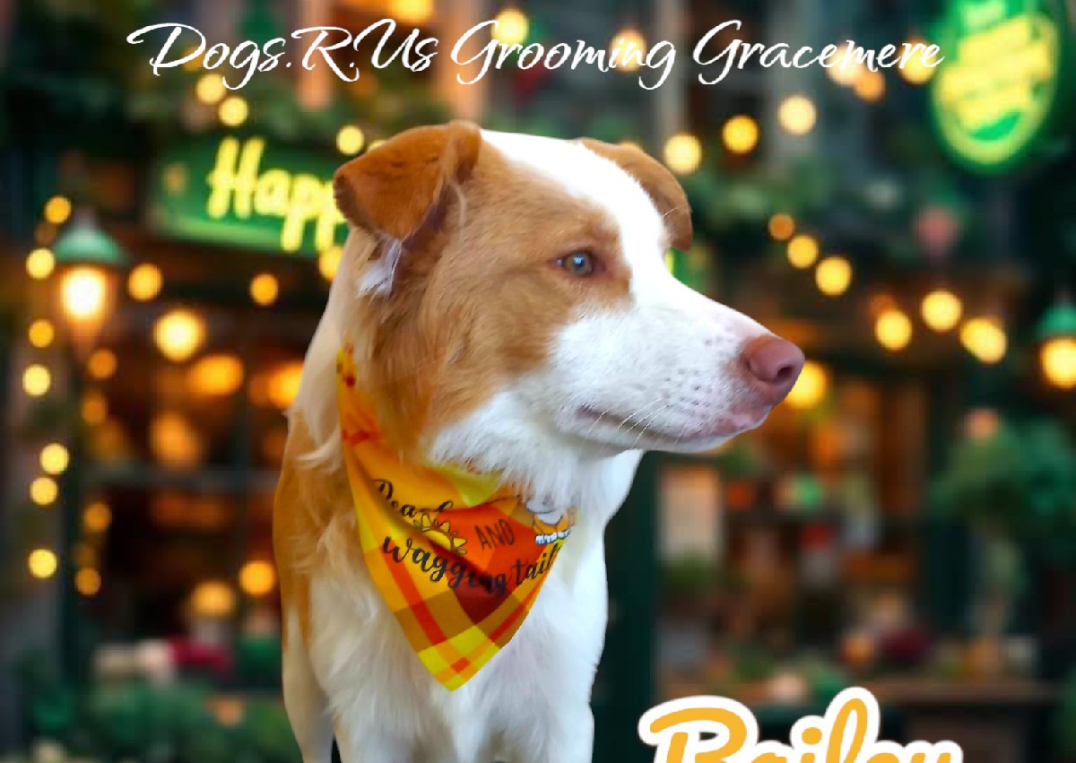 Extra Large Face, Bum & Feet Tidy