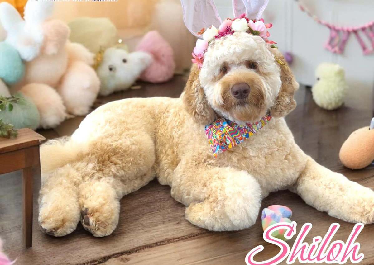 Small Face, Bum & Feet