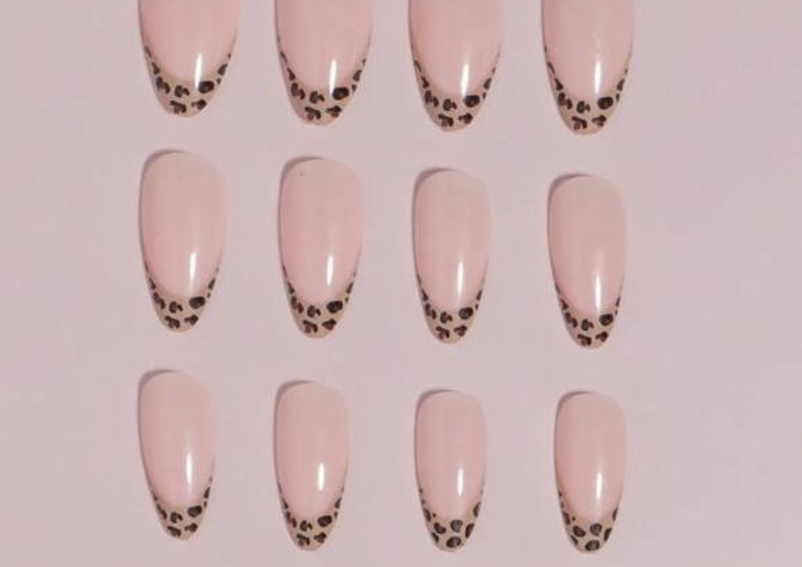 Press On Nails Leopard