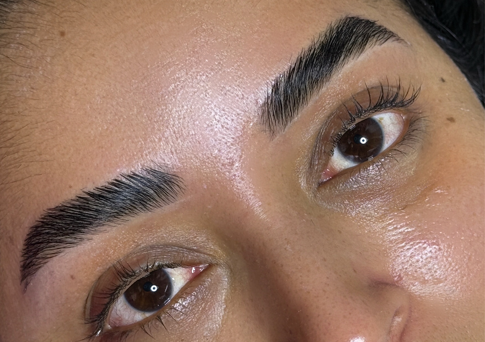 Brow lamination   