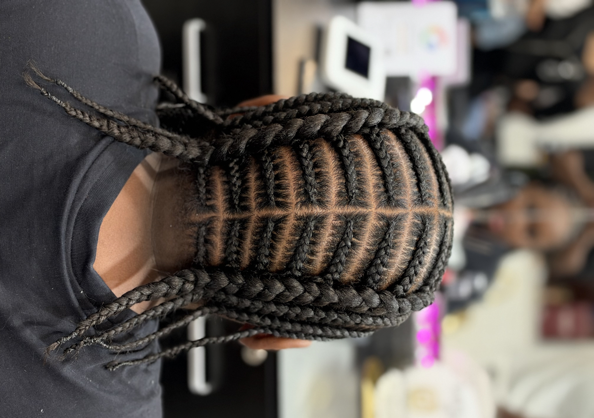 Fish bone braids 