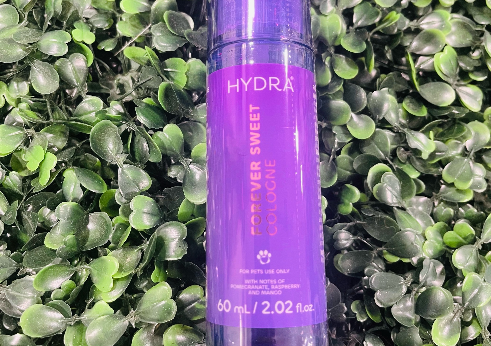 Perfume Hydra para Hembra sweet 🫶