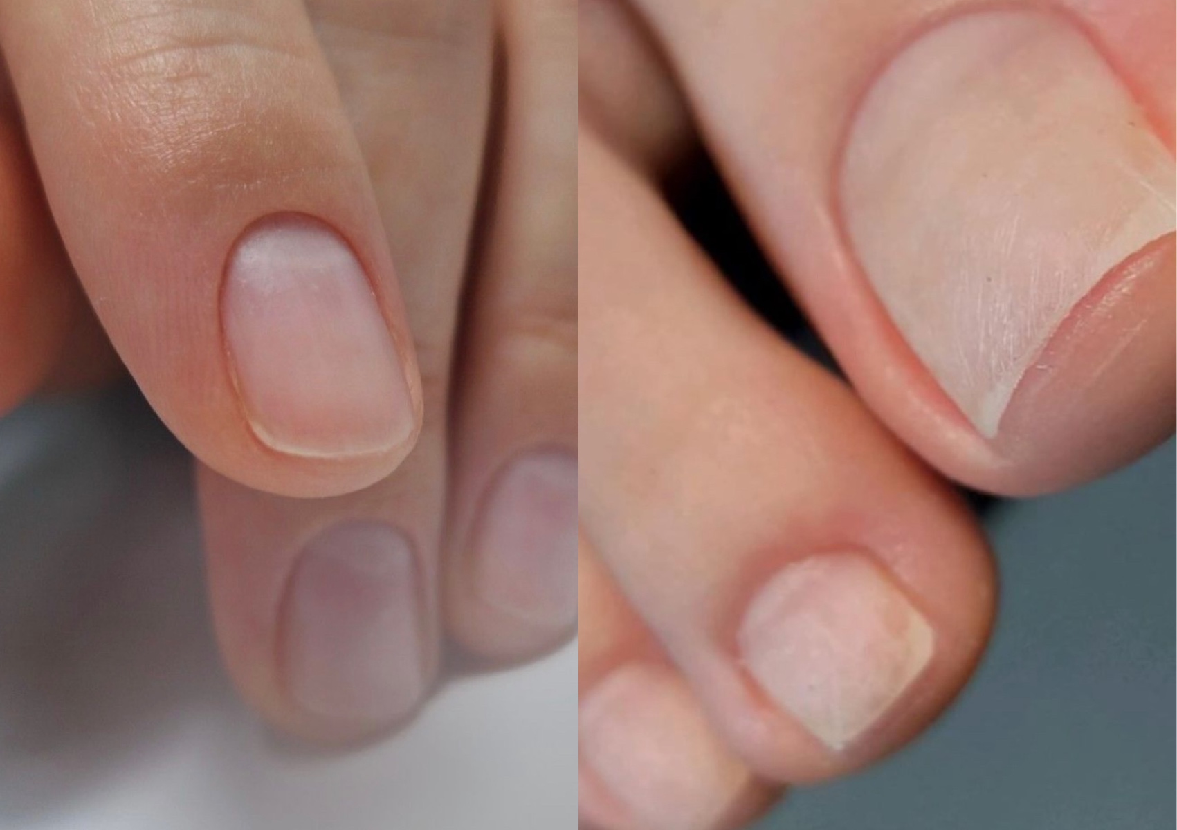 4 hands service REGULAR MANICURE + REGULAT PEDICURE 