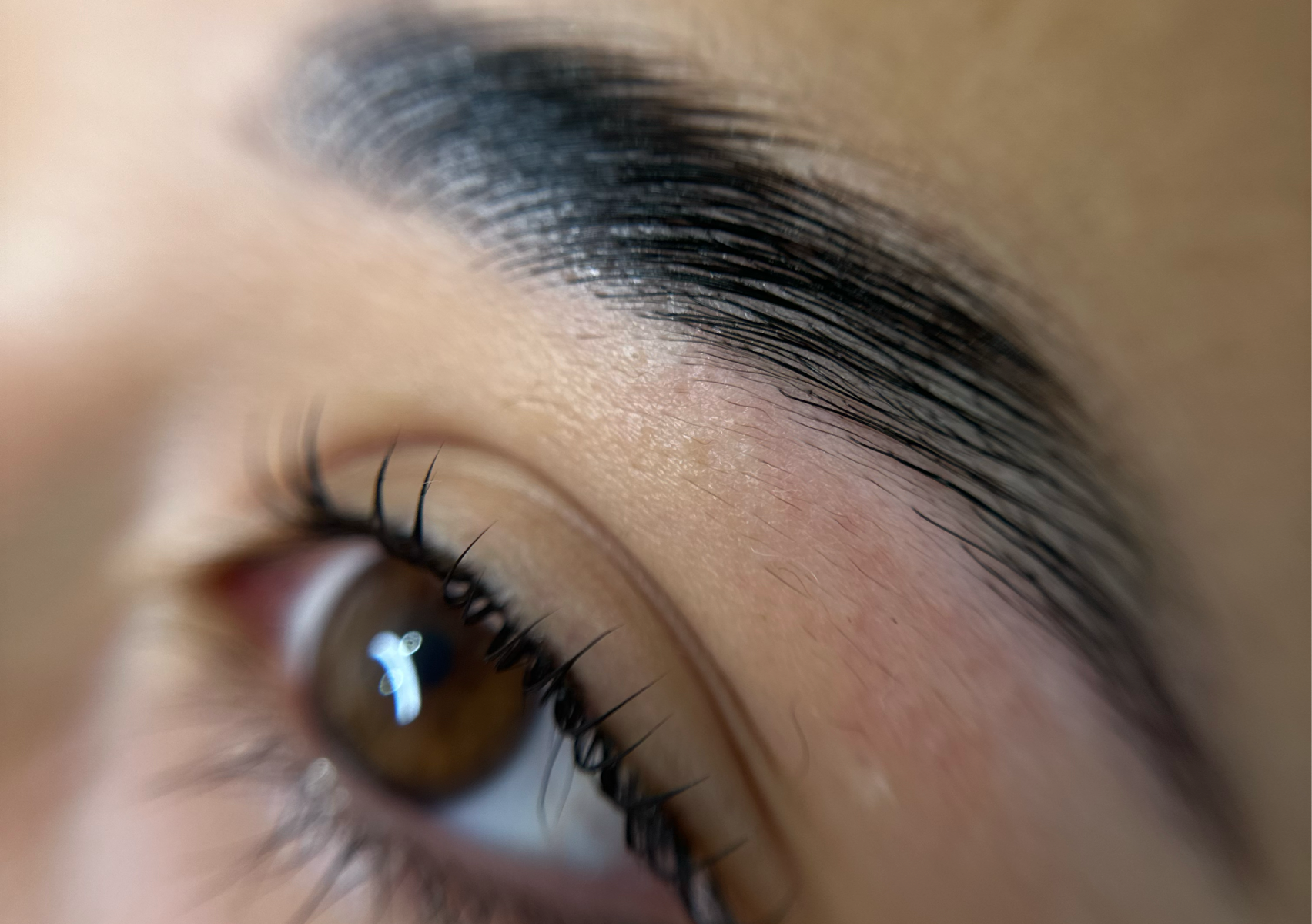 COMPLEX Brow lift + Lash lift