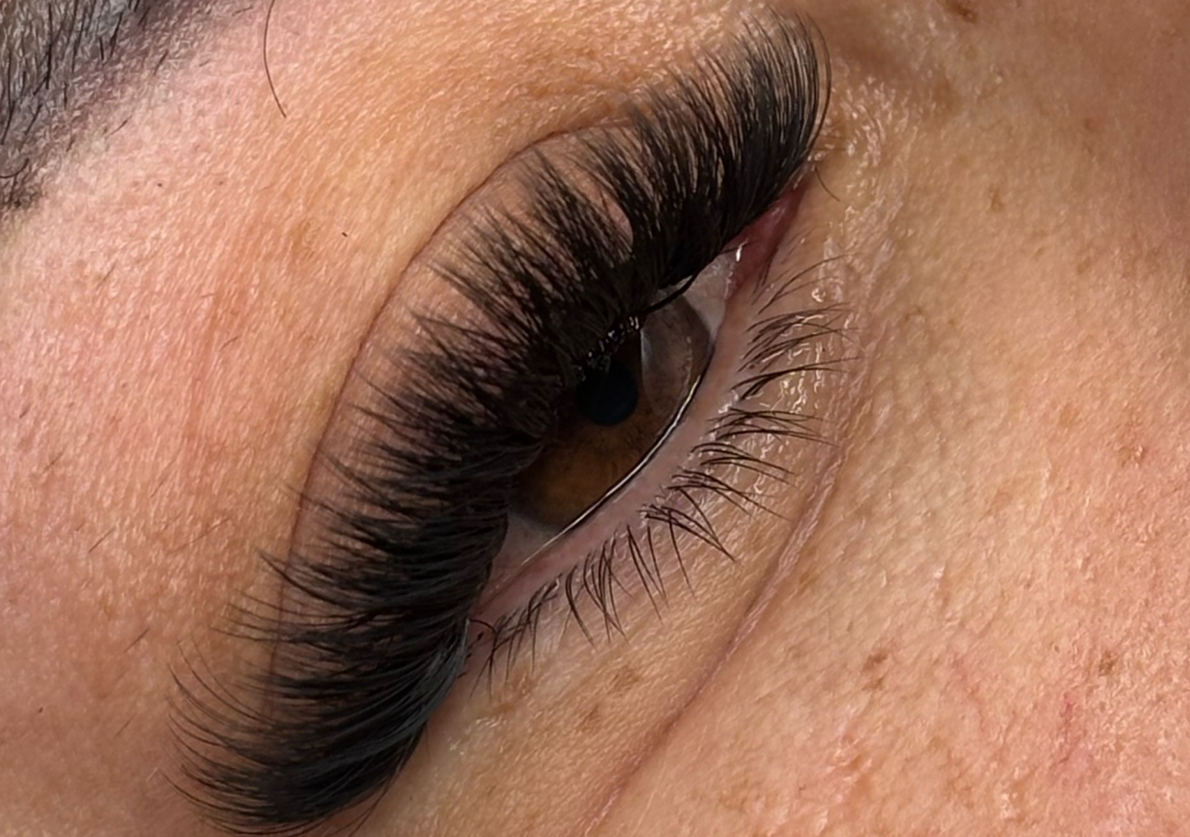 Volume lashes