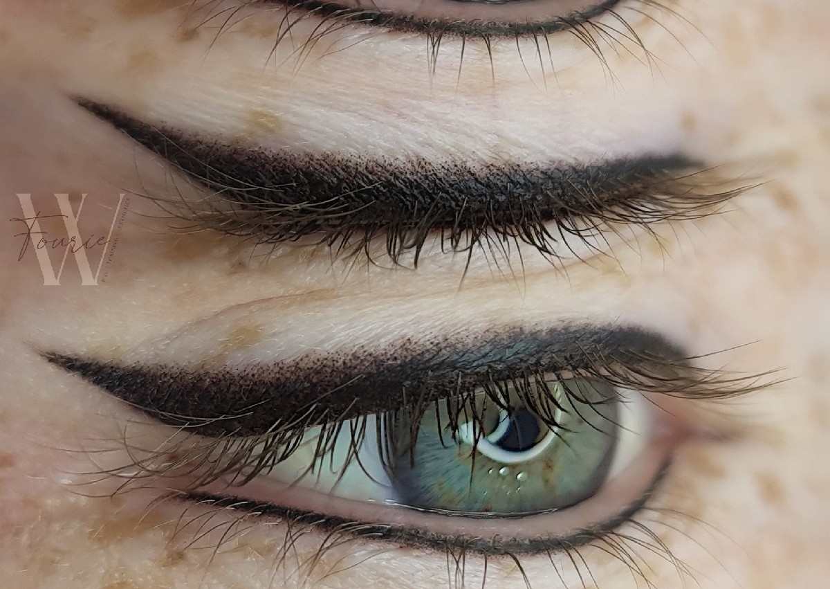 Winged or Shaded Eyeliner